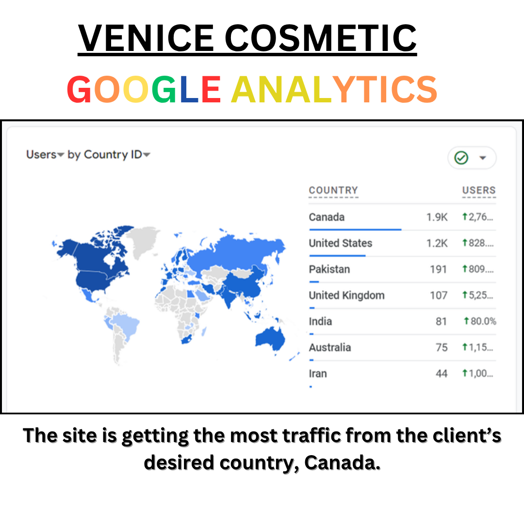 Venice Cosmetic Google Analytics international traffic results